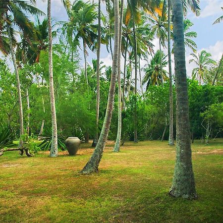 Lagoon House Rekawa Tangalle Luaran gambar