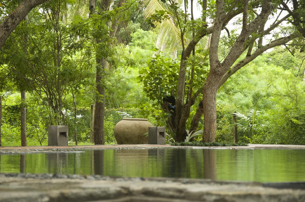 Lagoon House Rekawa Tangalle Luaran gambar